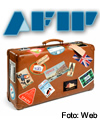AFIP: Declarar equipaje para viajes al exterior
