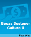 Anses: Nuevas Becas Sostener Cultura II de 30.000 pesos
