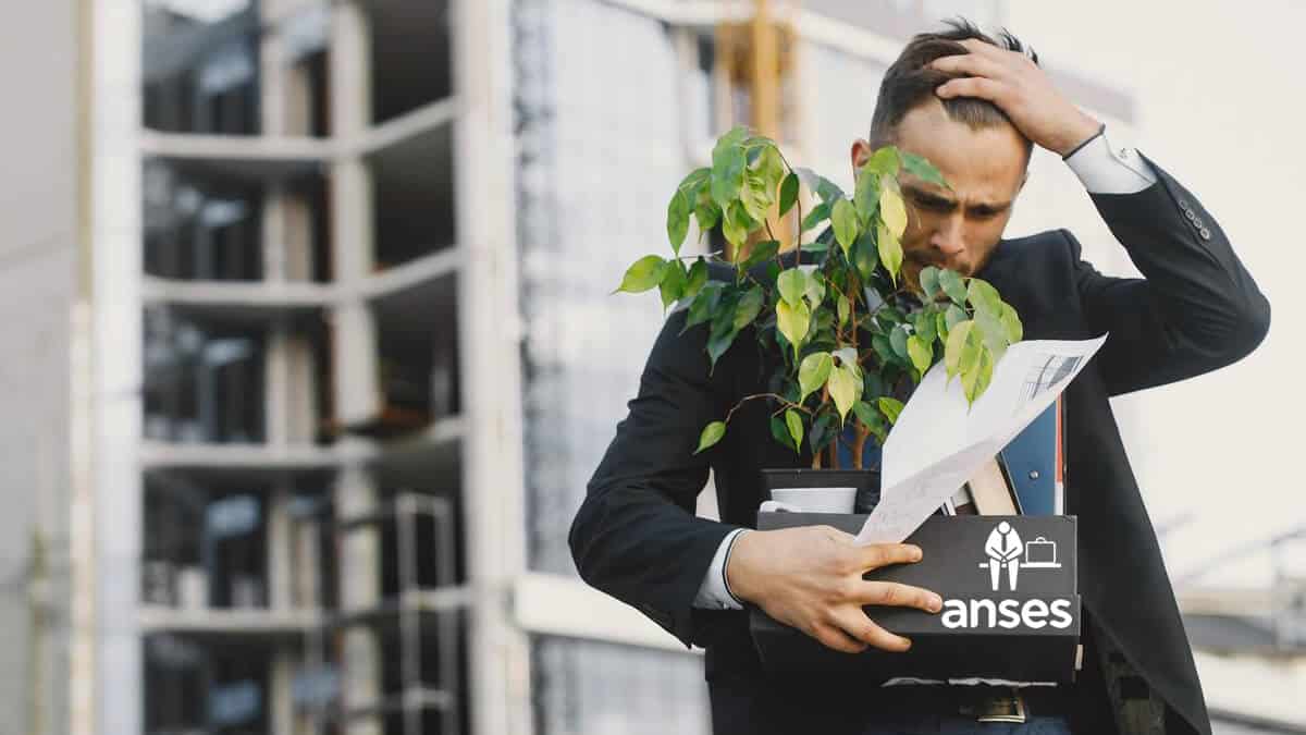 Anses: Fechas De Cobro Del Fondo De Desempleo En Febrero De 2023