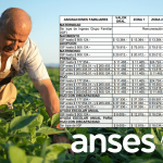 Anses: Nuevos montos de asignaciones familiares para agrarios