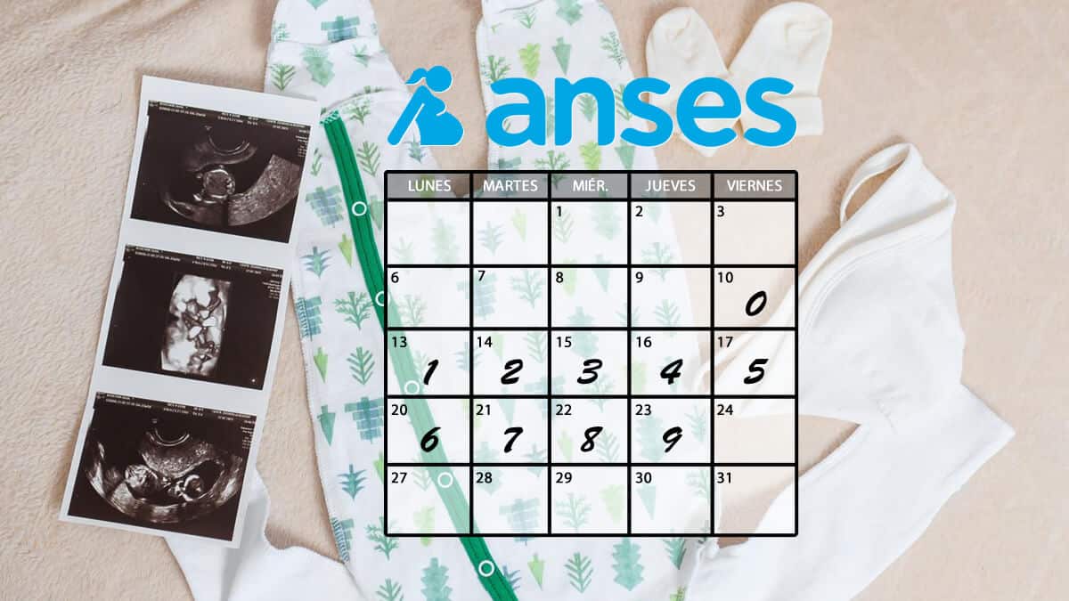 Anses Fechas De Cobro De Asignación Por Embarazo En Marzo De 2023 4358