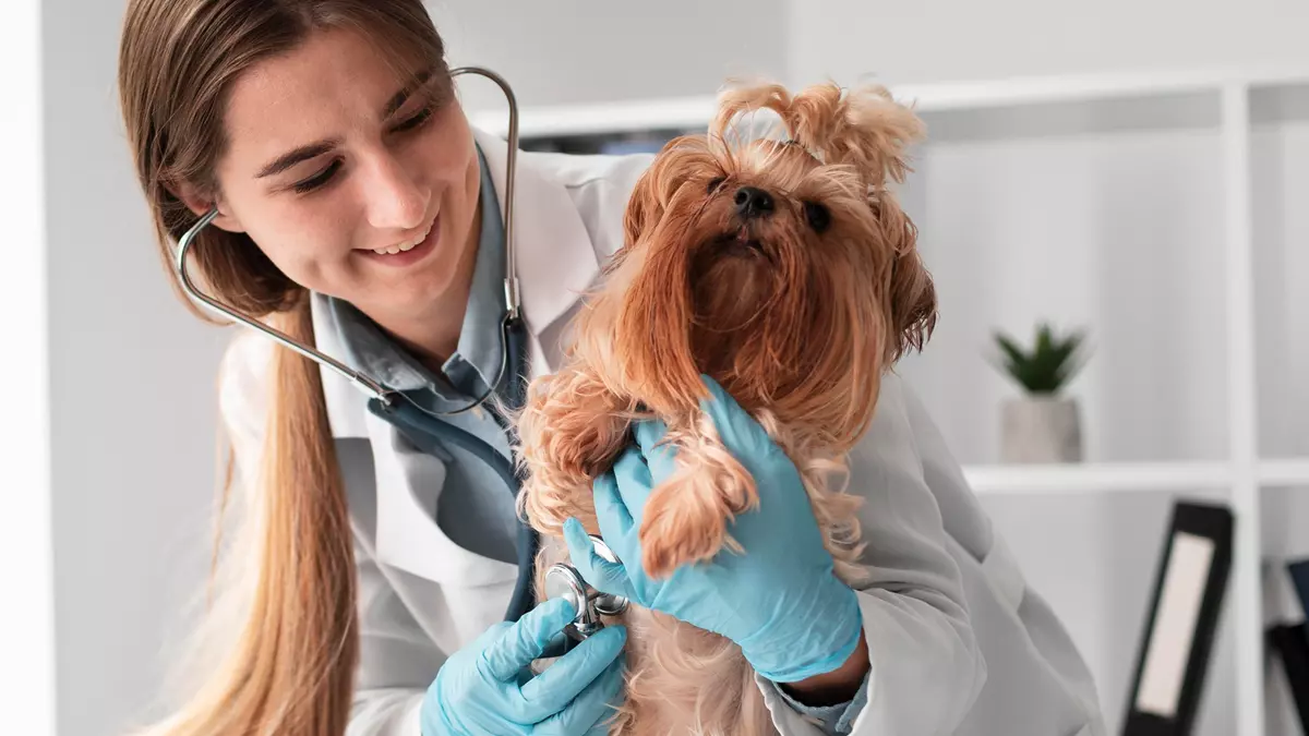 Veterinaria con perro