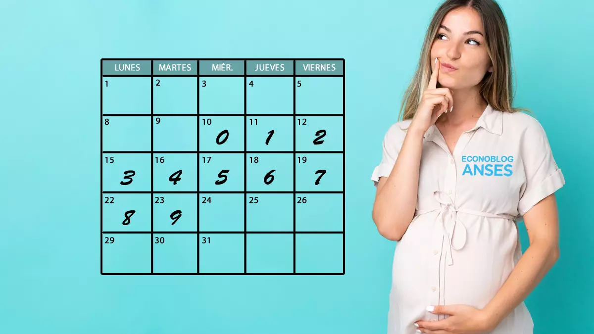 Calendario de la Asignación por Embarazo