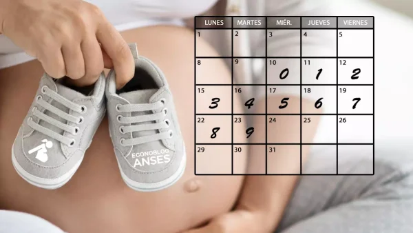 Calendario de asignación por embarazo