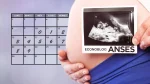 Cronograma de asignación por embarazo