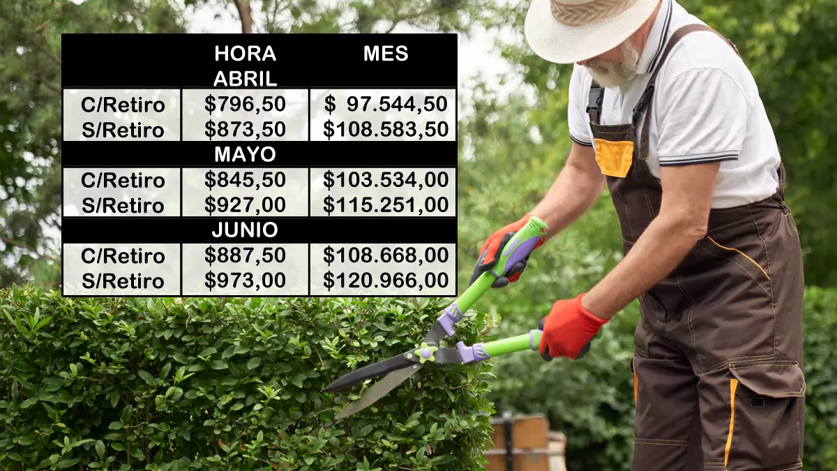Escala salarial de jardineros