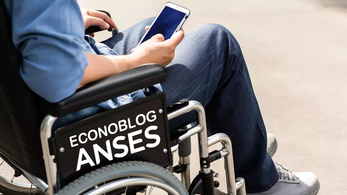 Titular de PNC por discapacidad de Anses