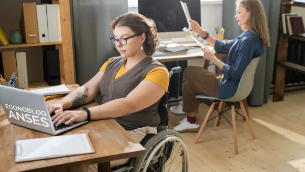 Titular de PNC por discapacidad con computadora de Anses