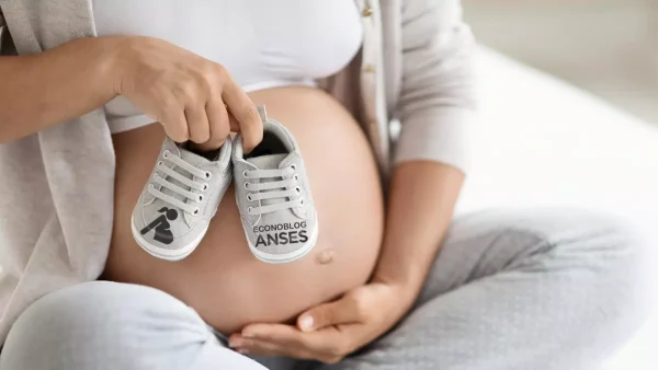 Titular de la asignación por embarazo de Anses