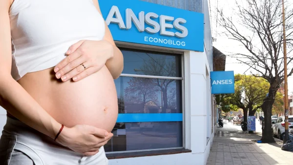 Madre de asignación por embarazo en oficina de Anses
