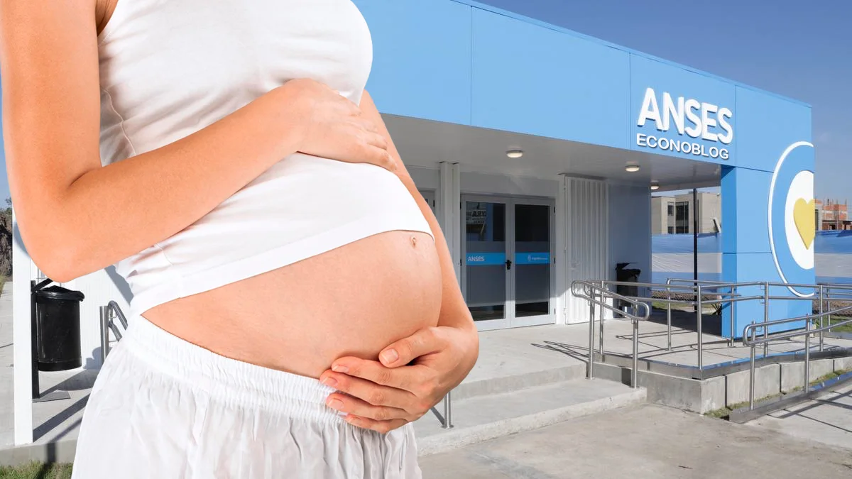 Asignación por embarazo en oficina de Anses