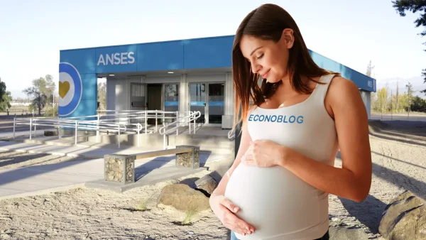 Titular de la asignación por embarazo en Anses
