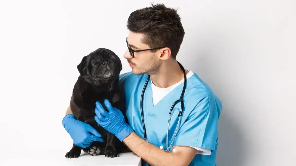 Veterinario con un perro
