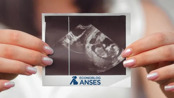 Titular de la Asignación por Embarazo de la Anses